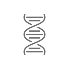 DNA molecule grey icon. Isolated on white background