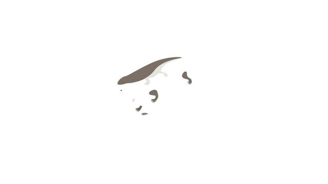 Lizard icon animation isometric best object on white backgound