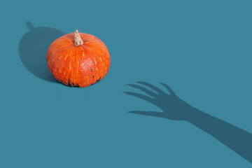 Hand shadow of witch trying to catch pumpkin on blue background. Minimal creative idea of halloween.
