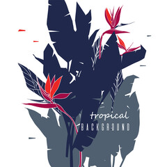 Background with strelitzia flowers and leaves. Floral poster with bird of paradise or crane flower. Dark illustration isolated on the white. .Silhouettes of tropical plants and outline drawing flower. - 458239212