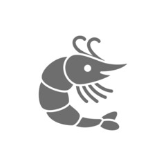 Shrimp grey icon. Isolated on white background