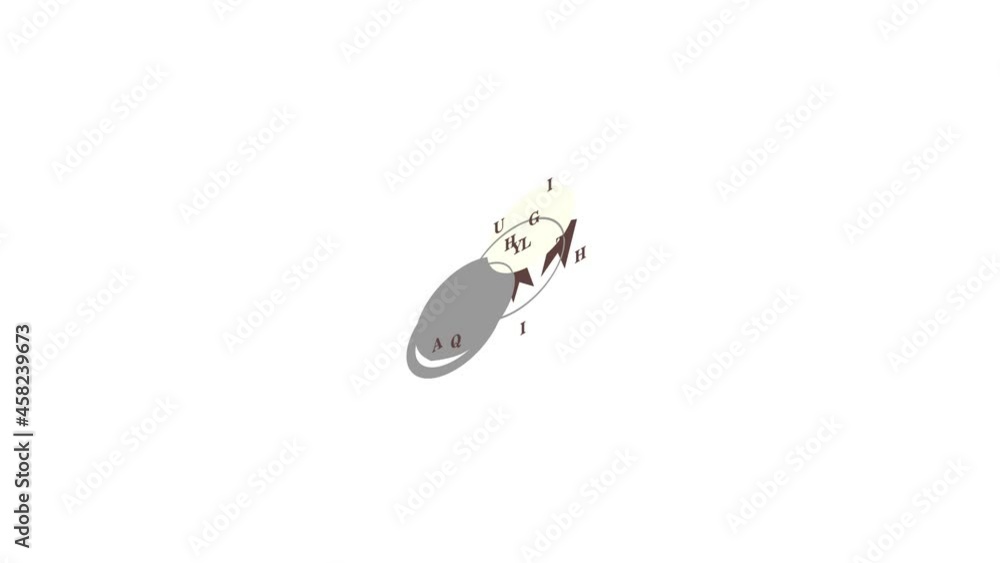 Poster label high quality icon animation isometric best object on white backgound