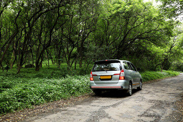 Obraz na płótnie Canvas Car stop in the forest area.