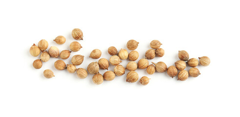 Scattered dried coriander seeds on white background, top view