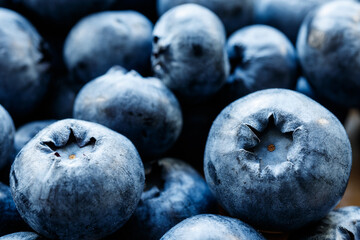 Bilberry