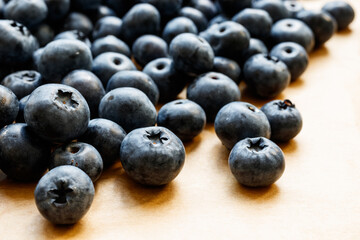 Bilberry