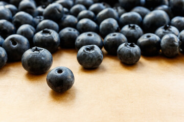 Bilberry