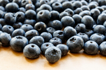 Bilberry