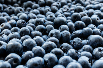 Bilberry