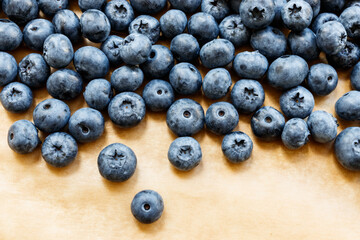 Bilberry