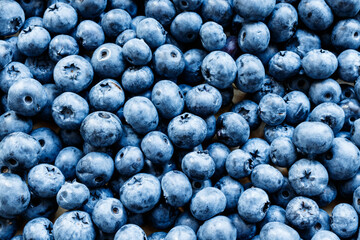 Bilberry