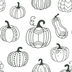 Pumpkin seamless pattern vector illustration. Gourds in flat simple modern doodle style. For thanksgiving, halloween, autumn harvest design