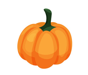 Pumpkin isolated on white background in cartoon flat style isolated on white background. Vector illustration