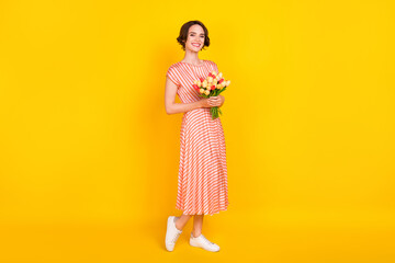 Full length body size view of attractive cheerful girl holding tulips walking isolated over bright yellow color background