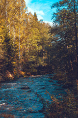 mountain river in autumn