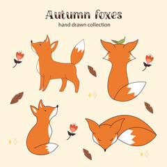 Hand drawn autumn foxes collection