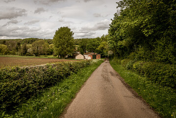 Fototapeta na wymiar country lane in the countryside