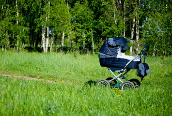 baby stroller in nature on the background of birch trees