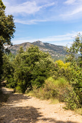 Vue sur le Mont Saint-Baudille depuis le sentier de randonnée du Roc des Deux Vierges à Saint-Saturnin-de-Lucian (Occitanie, France)