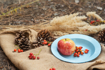Picnic in a pine forest. A metal vintage bowl with an apple and rose berries on a village tablecloth with cones around.