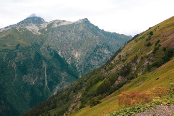 Obraz premium landscape in the mountains