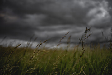 storm over the field