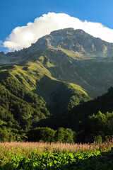 Fototapeta premium landscape with clouds