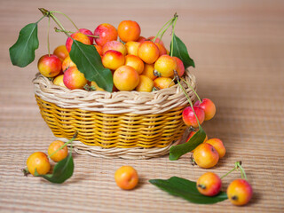 small apples in the basket