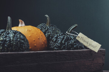 Thanksgiving day. Pumpkin with an inscription thank you on a wooden background