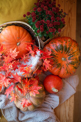 Orange pumpkin with a lovely autumn flower composition on the background of yellow and orange fallen leaves