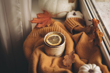 Fototapeta na wymiar Cozy autumn morning still life scene. Steaming cup of hot tea standing near the window. Fall, Thanksgiving concept. Pumpkins and leaves, wool sweater