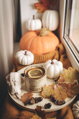 Cozy autumn morning still life scene. Steaming cup of hot tea standing near the window. Fall, Thanksgiving concept. Pumpkins and leaves, wool sweater