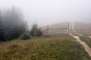 Obraz premium Wooden fence near forest covered with fog