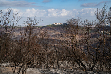 A Forest and a Village after a Wildfire