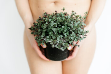 In the hands of a girl, a pot with a green plant. against the background of the body. the concept of cosmetology and body hair removal.