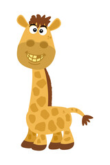 Little young giraffe with yellow teeth and brown hair with a lot of humor 
