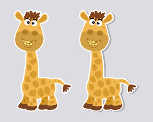 Small young giraffe with yellow teeth and brown hair with a lot of humor for sticker on gray background 