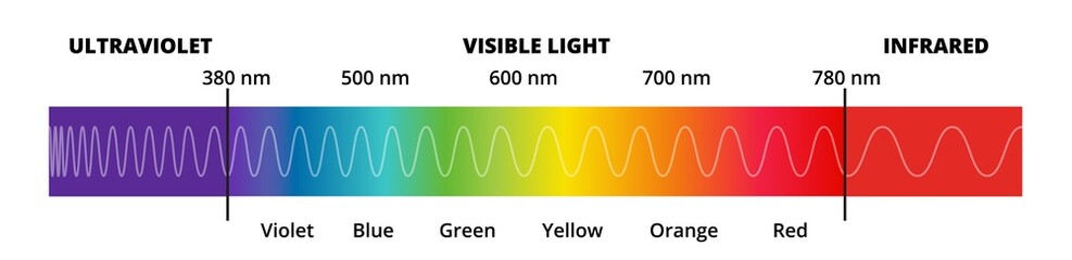 Vector diagram with the visible light spectrum. Visible light, infrared, and ultraviolet. Electromagnetic spectrum visible to the human eye. Violet, Blue green, yellow, orange, red colour gradient.