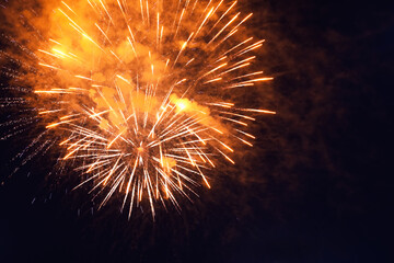Beautiful bright firework lighting up night sky