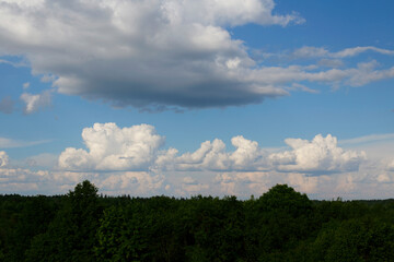 Blue sky with white clouds . Beautiful landscape of sky and trees