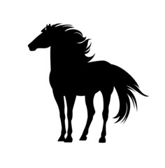 Fototapeta na wymiar majestic mustang horse with wind blown mane and tail - standing wild stallion black and white vector silhouette portrait
