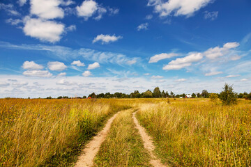 Fototapeta na wymiar Country road through the fields on sunny summer day