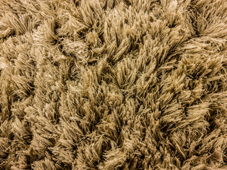 Photo of rug with loose threads.