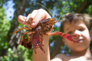 Little boy shows his last capture, a freshwater crayfish