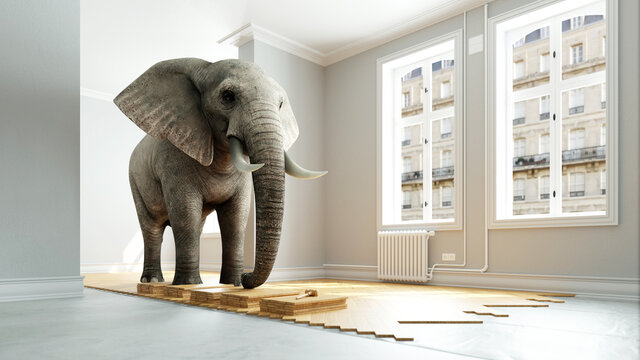 Belastbares Parkett mit schwerem Elefant auf dem Holz