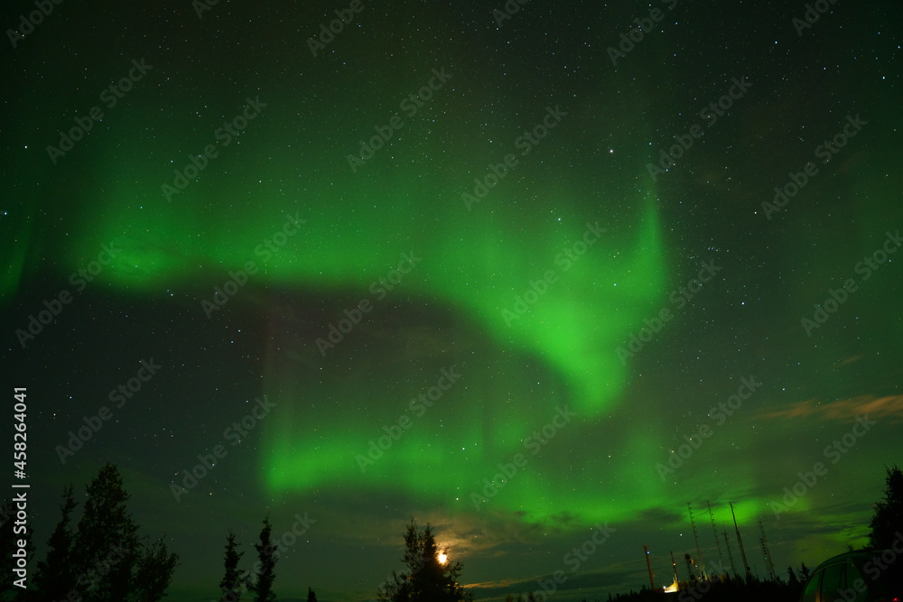 Wall mural natural light display of aurora with dynamic patterns of brilliant lights