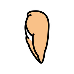 breast boneless skinless chicken color icon vector. breast boneless skinless chicken sign. isolated symbol illustration