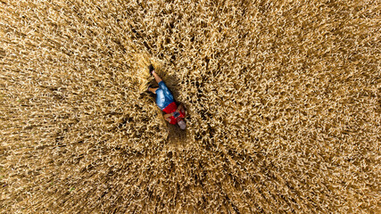 Fototapeta na wymiar A girl lying on the ground in a wheat field. Top view. Aerial drone view.