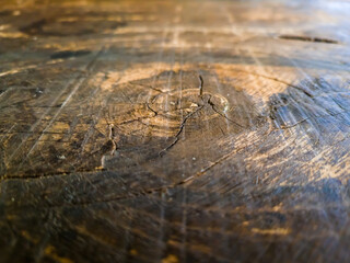 close up of a wood