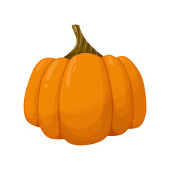 Orange pumpkin. Vegetable illustration isolated on white background.